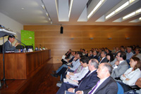 Ampliar Foto